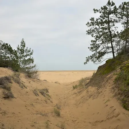 Villa Lovely Duplex For 5 Guests In Peaceful Lignano Riviera