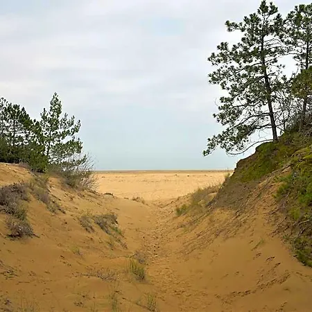 Villa Lovely Duplex For 5 Guests In Peaceful Lignano Riviera