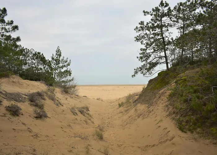 Villa Lovely Duplex For 5 Guests In Peaceful Lignano Riviera